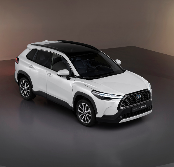 Comprehensive Guide to Choosing Between Petrol SUV and Hybrid SUV