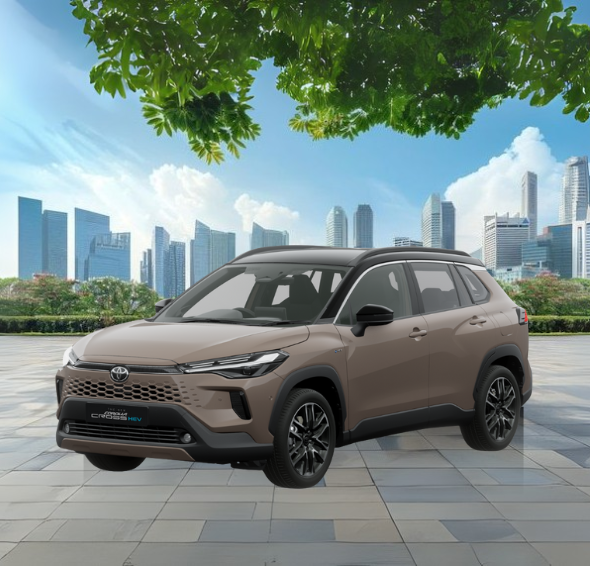 End the Search: Discover Why Toyota is the Foremost Choice